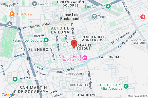 Ladron De Guevara Malaga, Oscar