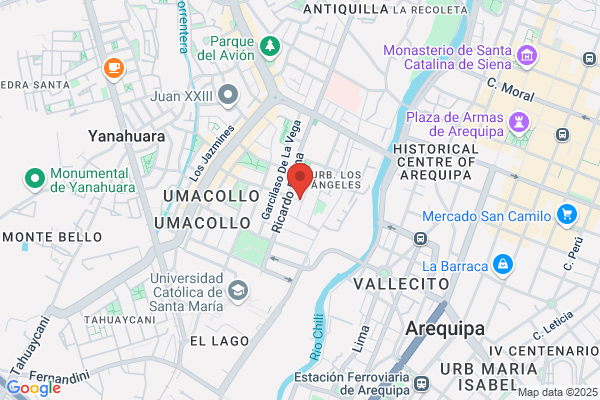 Gamarra Palacios Magno