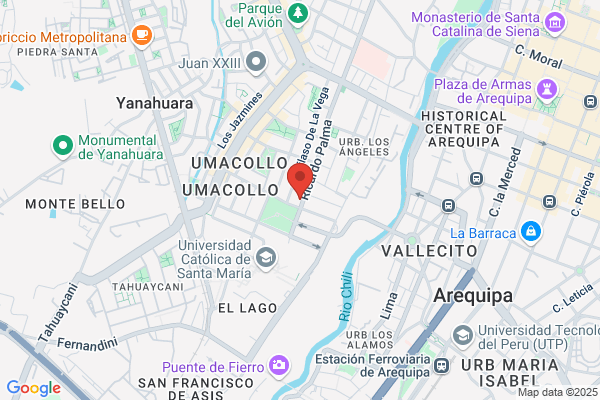 Mascotas Primavera