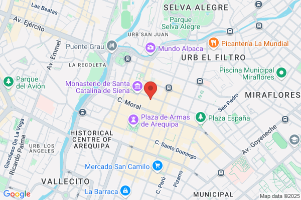 Peruana De Vigilancia Y Proteccion S.A.