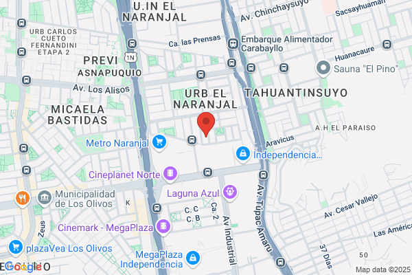 Alquiler de Buses URBI