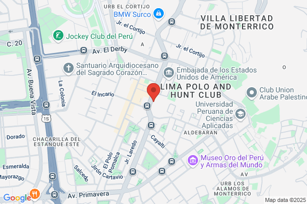 Dicsa Peru S.A.