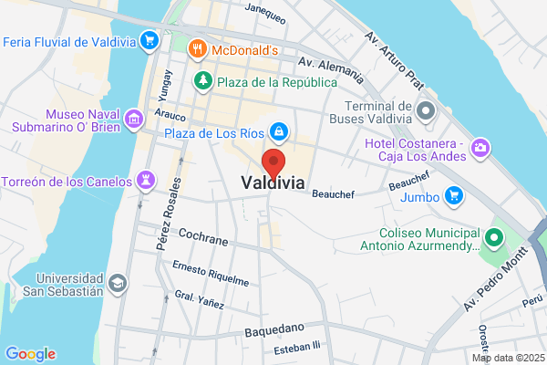 Valdivia Vizcarra, Edgar