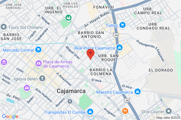 Servicios Mineros