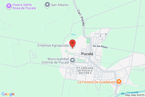 Empresa Agroindustrial Pucala S.A.
