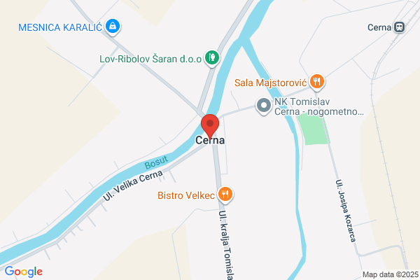 Cerna Meza, Fortunato