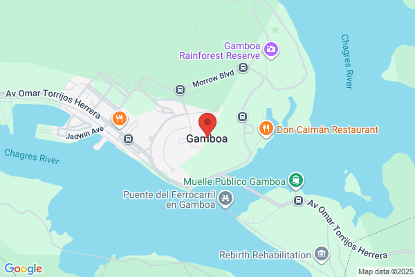 Gamboa Mejía, Jorge