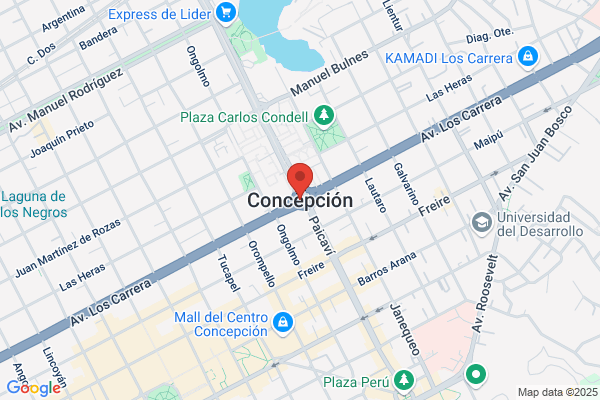 Mendoza Mendoza Elsa Josefina
