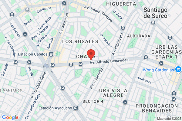 Maguiña Sal Y Rosas Juan