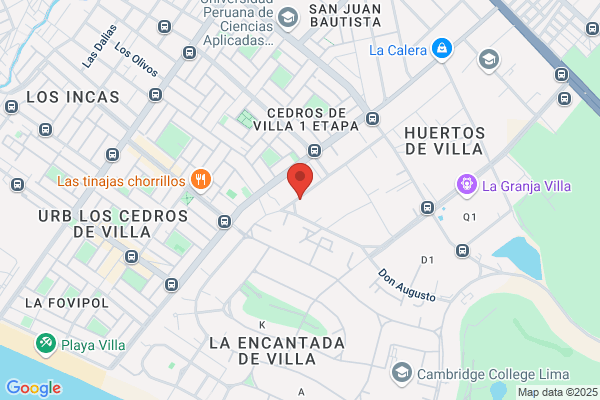 V & M Servicios Generales