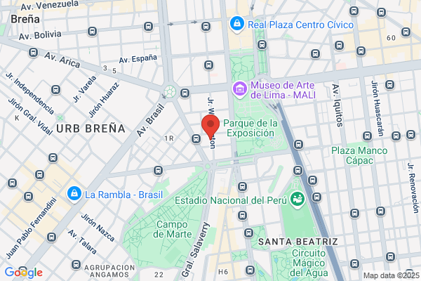 Analistas & Consultores Srl