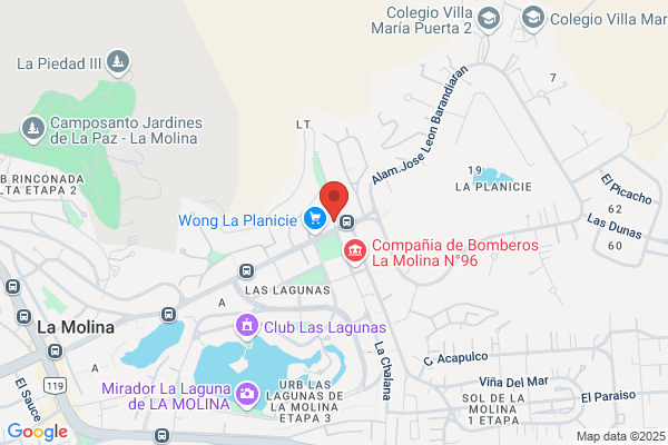 Negocios Cambiarios S.A
