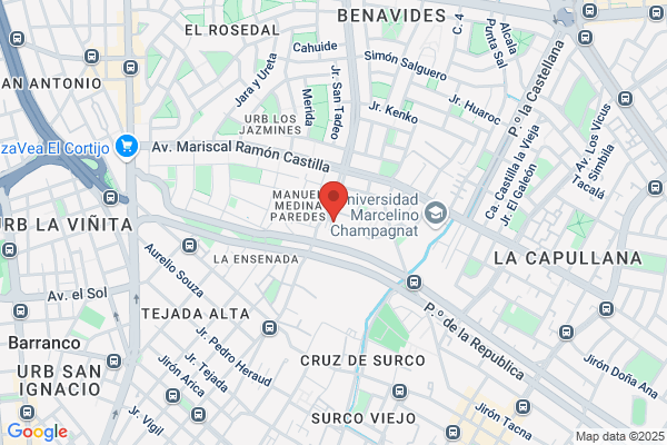 Consorcio Exportador Del Peru S.A