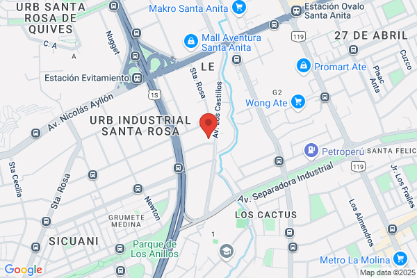 Nestle Peru S A
