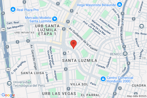 Servicios Y Repuestos Rodrigo