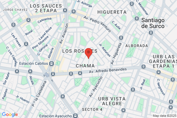 Luis Tejada Y Cia S A