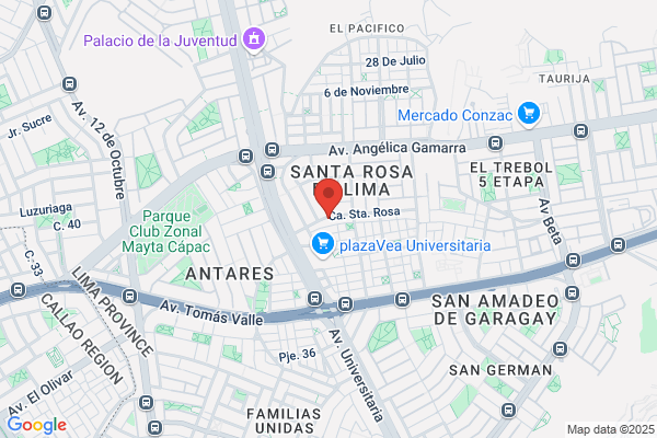 Negocios Y Actividades Aduaneras S.A.