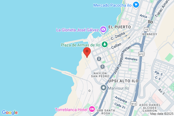 Técnica Naviera Y Portuaria S.A.
