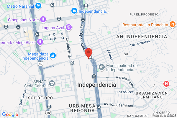 Vidrios Induplass S. A.