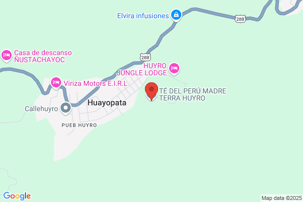 Te Huyro