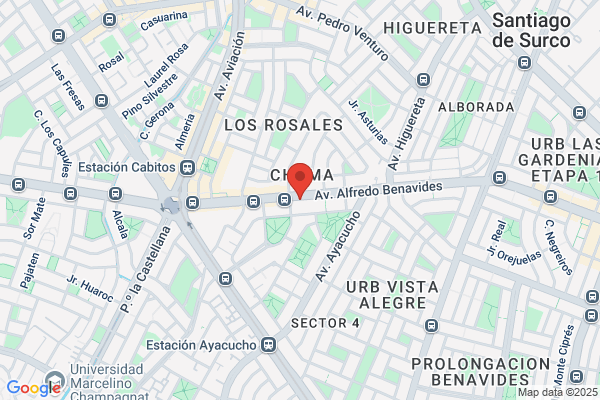 Coactivos Sunat Asesora Tributarista