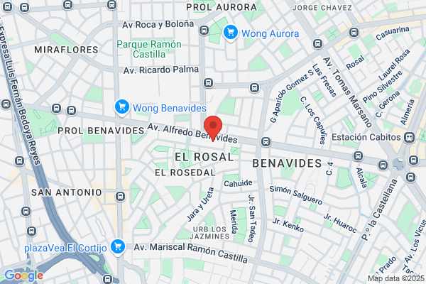 De La Puente Raygada Abogados Asociados