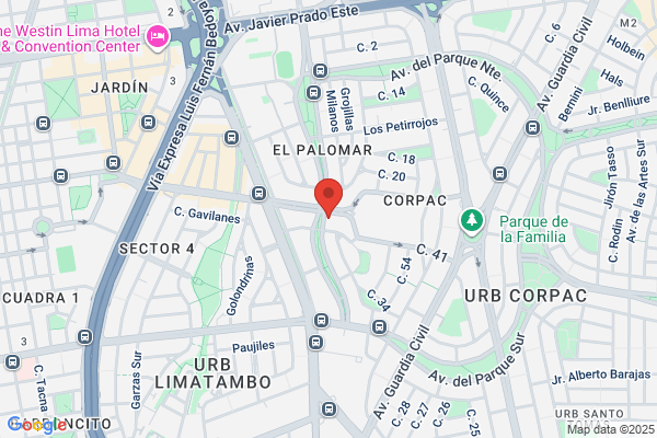 Estudio Alfredo Solf Abogados S.C.R.L.