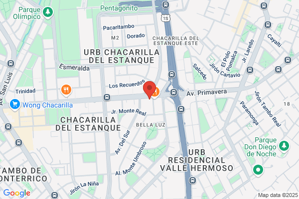 Data Sonido Seguridad S.A.