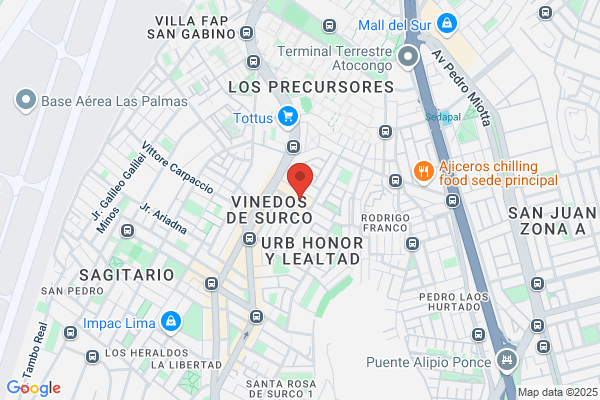 Bruna Vida Y Sueño