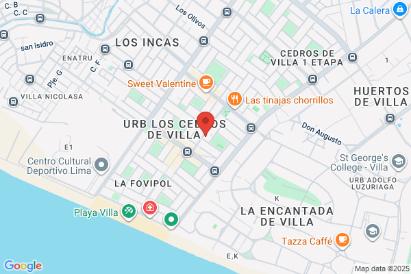 Adiestramiento De Canes Zapata