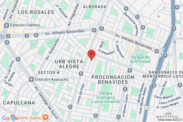Agencia Workd Service