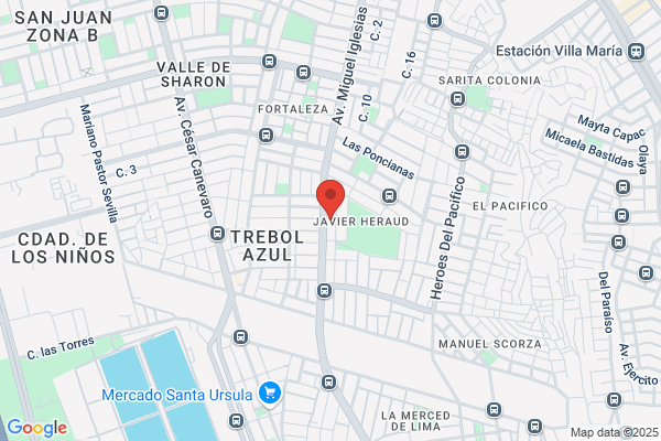 Mauricio Lázaro Herrera Servicios y Representaciones Generales