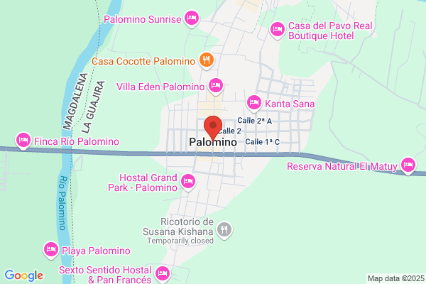 Palomino Cappa Jorge A.