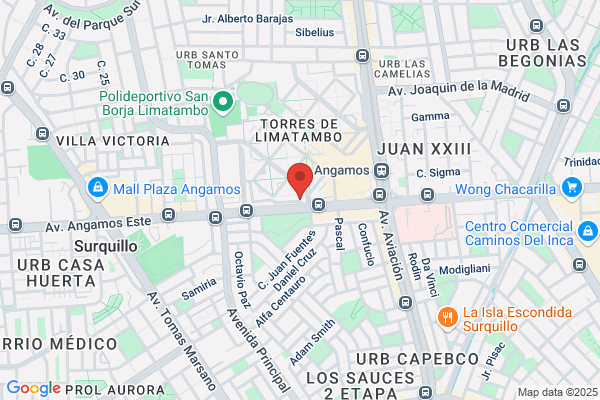 Armas Tiro Fijo S.A.