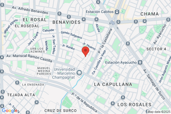 Deustua Carvallo Teresa María