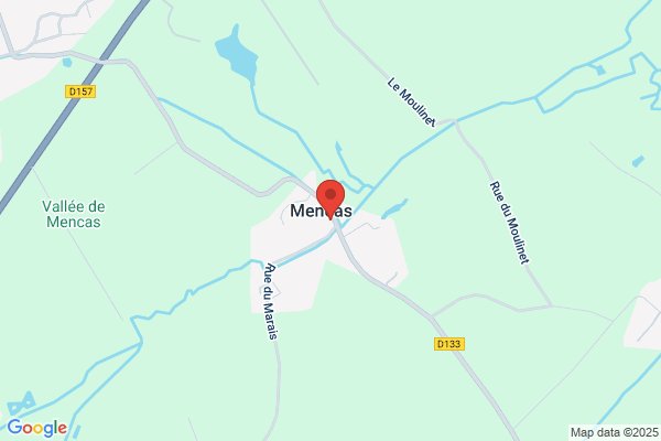 Manexsa