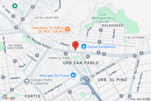 La Vyzcaina S.A.