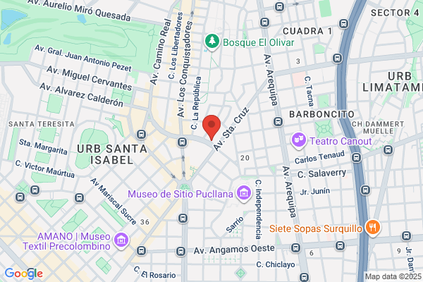 Instituto De Defensa Legal
