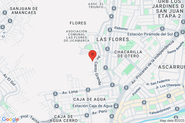 Ancaya Donayre & Asociados S.C.