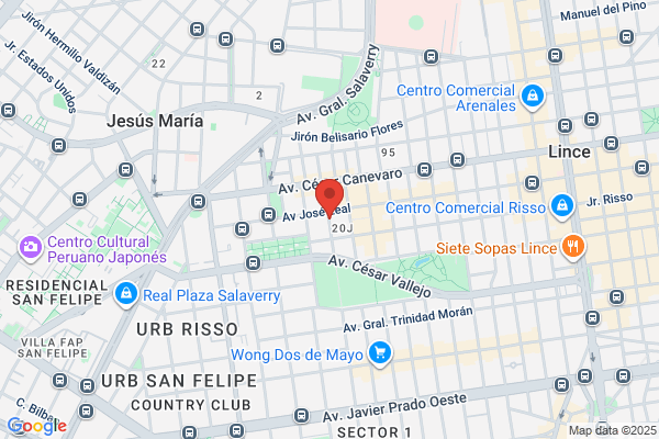 Carrillo & Asociados