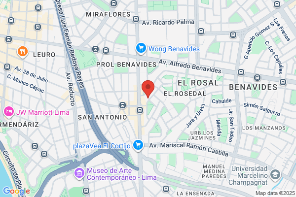 Limousine Service S.A.