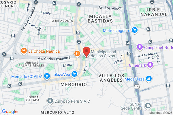 Los Olivos G y M S.A.