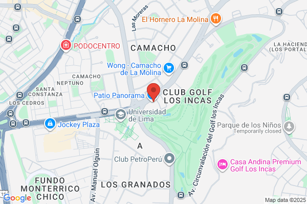Sacos Pisco S A