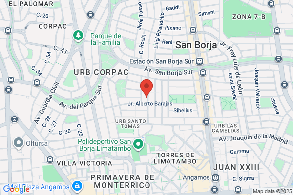 Instituto Superior Particular San Borja