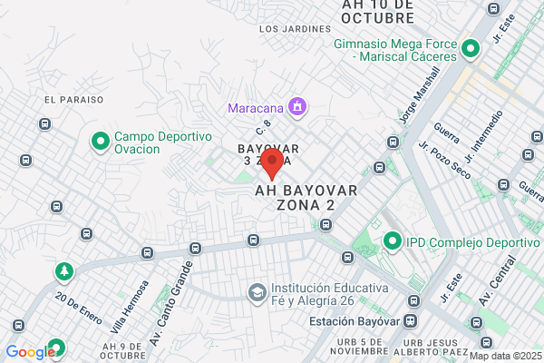 Alvarado Flores, Nimer Antonia