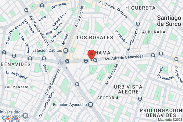 Ochoa Luque, Casimiro