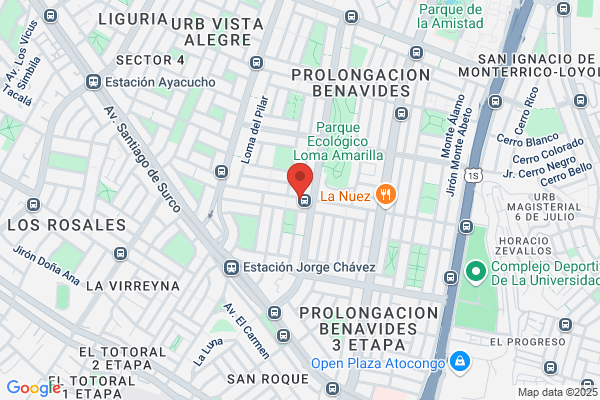 Sacerdotiza Inca Qusicoyllur Adela Paz
