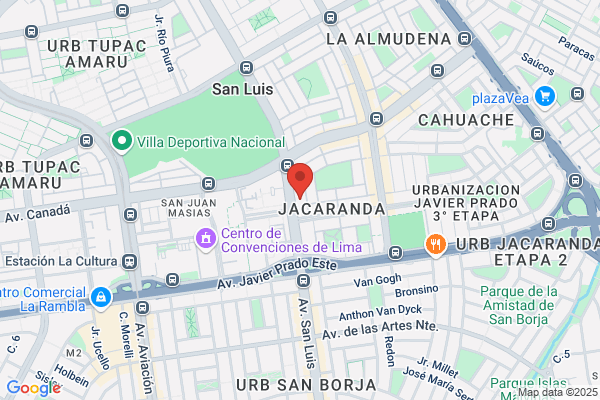 Tecnología de Seguridad Profesional