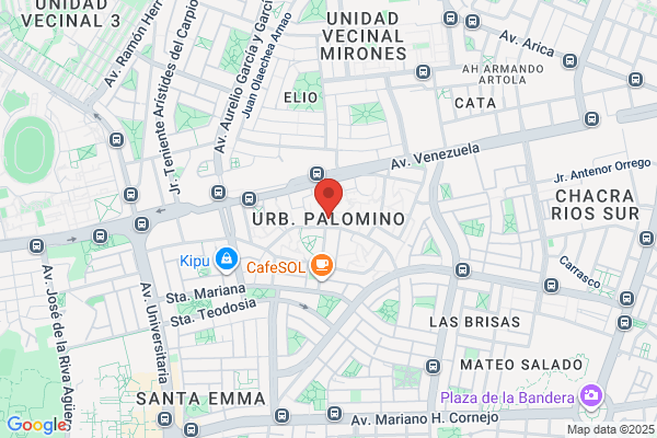 Palomino Berrospi, Leopoldo Jose