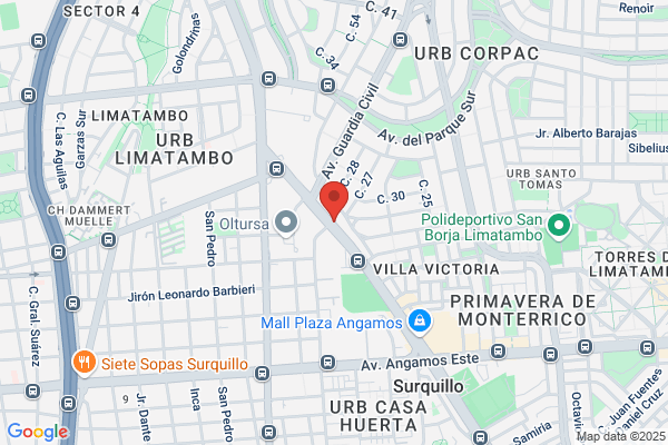 Iamsa Industrial S.A.
